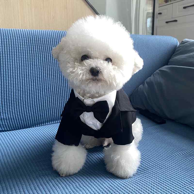 犬猫 スーツ 写真撮影 衣装 ワンちゃん 猫ちゃん タキシード おしゃれ ブラック ブリティッシュ スーツ..