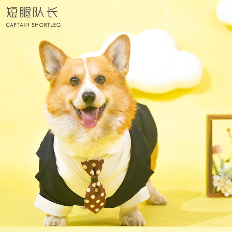 ペット品 洋服 ワンちゃん 猫ちゃん おしゃれファッション愛犬 スーツ ウェディングドレス 写真撮影 ネクタイ 犬服 タキシード