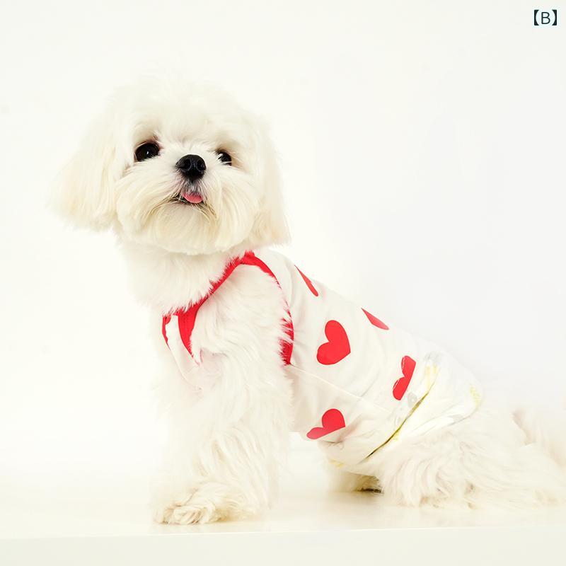 �ڥåȥ��å� ��ǭ �� ����� ������ �����奢�� T����� ���� ���襤�� ���� �ղ�