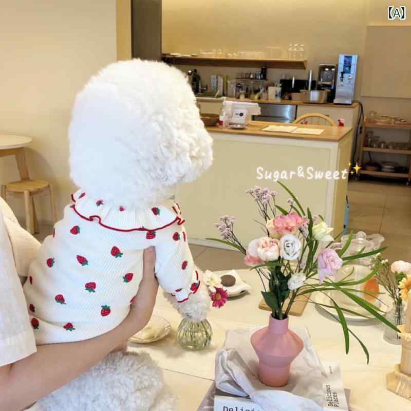 犬猫服 ペット 品 ファッション アクセサリー イチゴ プリント シャツ カジュアル かわいい 秋冬