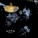 アクセサリー レディース ブライダル クラウン ティアラ イヤリング セット シンプル スイート カチューシャ ヘアアクセサリー ウェディング イブニングドレス