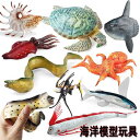 マンボウ ウミガメ 海洋生物 フィギュア 模型 おもちゃ ホビー 人形 コレクション インテリア ミニチュア リアル 動物 ギフト ウツボ 子供 教育