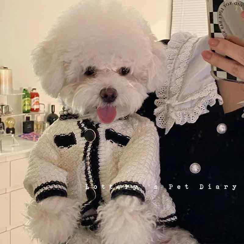 ドッグ ウェア 犬 猫 小型犬 チワワ ビション テディ ポメラニアン 服 ニット セーター カーディガン ..