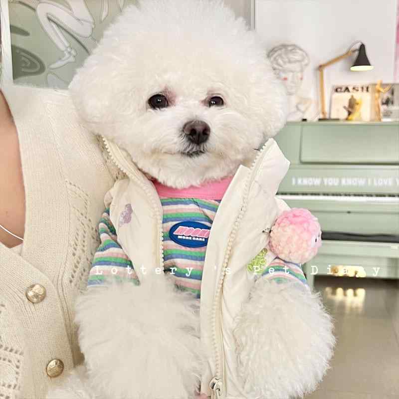 ドッグ ウェア 犬 猫 小型犬 チワワ ビション テディ ポメラニアン 服 ダウンジャケット ベスト 四本足 秋冬 暖かい かわいい カジュアル