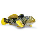 ハゼ 海洋生物 フィギュア 模型 おもちゃ ホビー 人形 コレクション インテリア ミニチュア リアル 子供 科学 教育 ギフト 装飾品 ディスプレイ