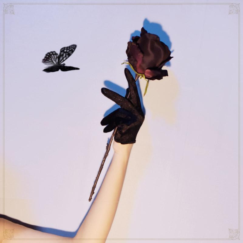 �����ץ� ���������꡼ ������ ���꡼�� �� ���ƥ� �ϡ��� ���� ��ǥ����� ���硼�� �ѥ� �����å� ���������꡼