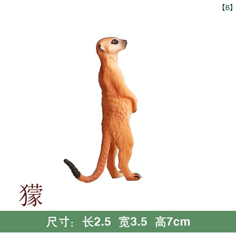 野生動物 生物 世界 フィギュア マングース おもちゃ コレクション チック ハイエナ ミーアキャット おもちゃ 装飾品 キッズ 子供 静動物