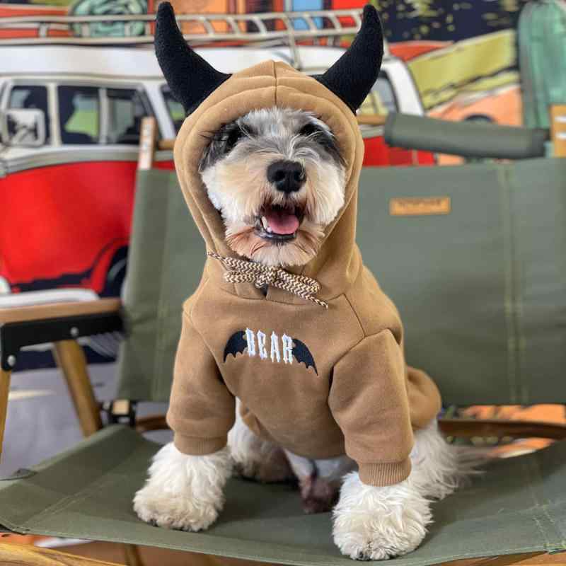 ドッグ ウェア ペット服 犬 猫 小型犬 チワワ ビション テディ ポメラニアン 服 スウェットシャツ トレーナー 秋冬 フード 裏起毛 カジュアル かわいい