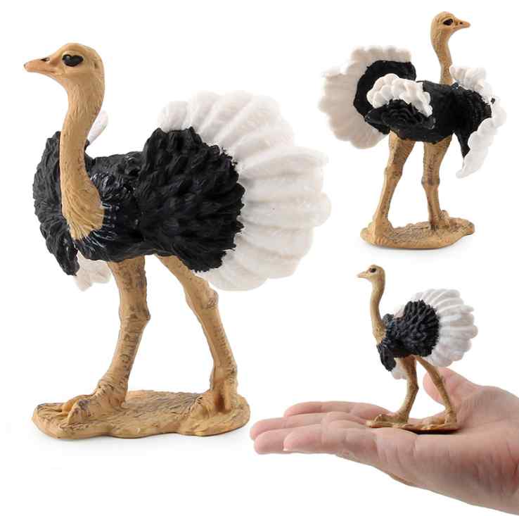ダチョウ 鳥 フィギュア 模型 人形 おもちゃ ホビー バード コレクション インテリア ミニチュア チック 動物 子供 教育 置物