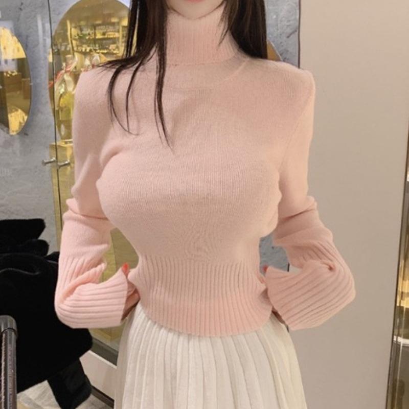 トップス レディース セーター 上品 女性用 暖かい 厚手 タートルネックセーター 秋冬 無地 インナー プルオーバー ウエスト スリム セーター
