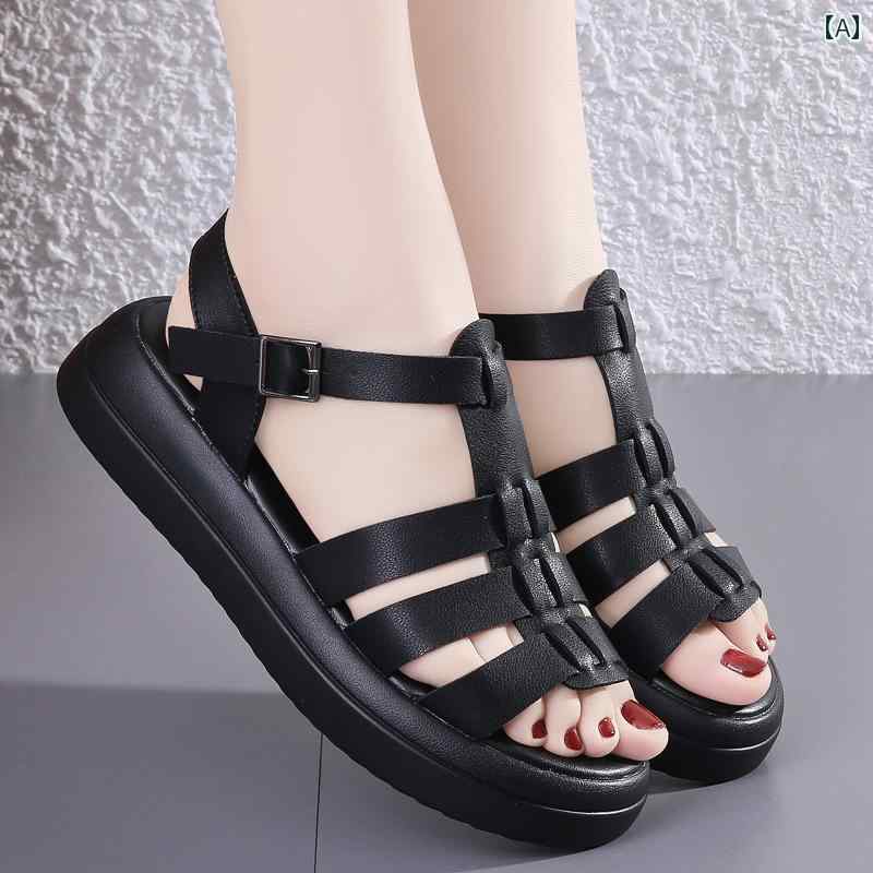 ǥ   ե ȥ   ڤ  ե ܥȥ 