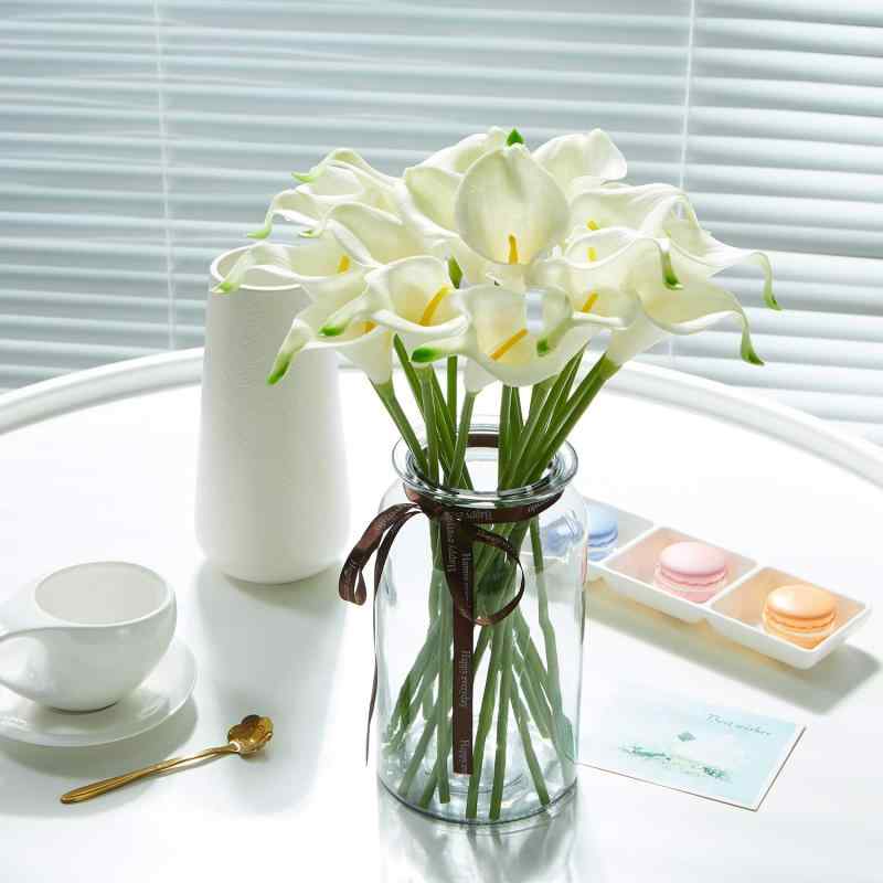 ¤  󥰥 cally lily  20 « 뺧 ѡƥ ͡ ٥ ⥤ƥꥢ 