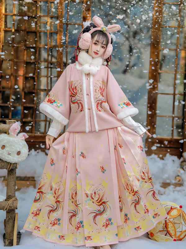 漢服 レディース 厚手 秋冬 明代スタイル 馬面スカート 襖裙 半臂 琵琶袖 中国風 日常使い お正月 イベント用 セット ファー襟 ポリエステル