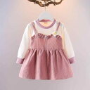 ワンピース 女の子 女児 キッズ ベビー 幼児 長袖 韓国風 コットン 綿 プリンセス Aライン プリーツ加工 春秋 かわいい ナチュラル ドレス