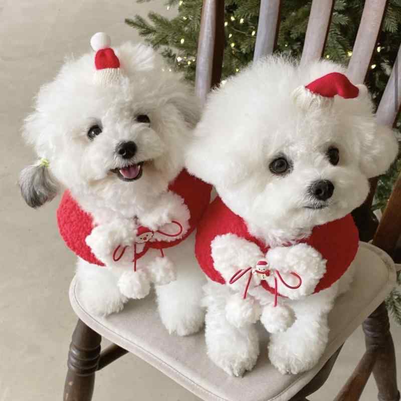 ペット用 クリスマス かわいい リボン ケープ マント 猫 犬 おしゃれ マフラー ネックウォーマー スタ..