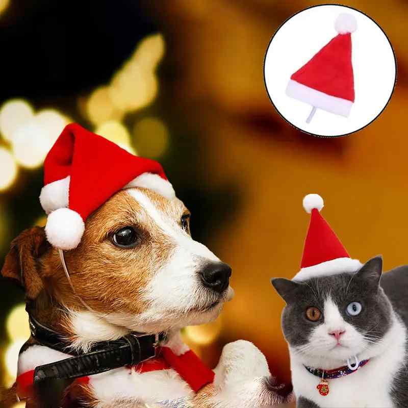 ペット用帽子 猫 犬 クリスマス サンタ帽 マフラー セット 赤 レッド ふわふわ 布製 かわいい おしゃれ 仮装 コスプレ 暖かい ソフト 小型犬 子猫用 イベント 記念撮影