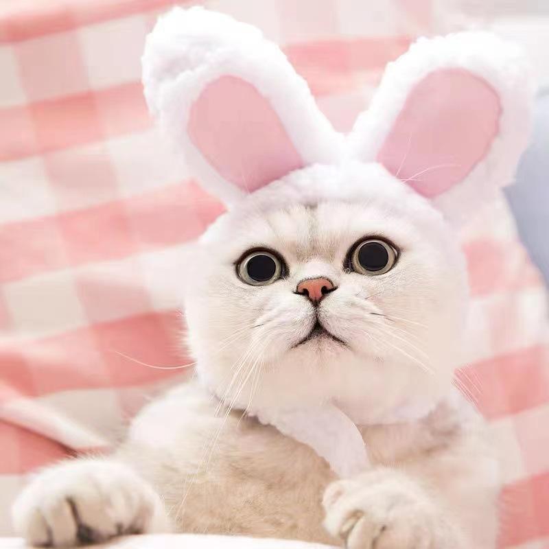 帽子 ペット 犬 猫用 かわいい うさぎ耳 ふわふわ ヘッドギア 変身 コスプレ ハロウィン クリスマス イベント かぶりもの 小型犬 中型犬 猫用 フリーサイズ