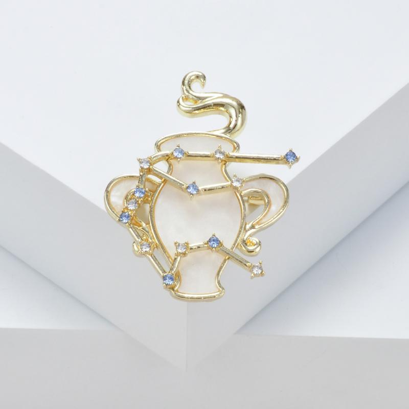 ブローチ レディース メンズ 十二星座 水瓶座 ジルコニア 高級感 おしゃれ 繊細 デザイン性 アクセサリ..