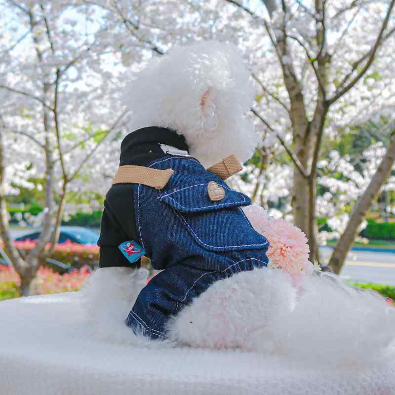 犬服 中小型犬用 オーバーオール サロペット 四足つなぎ リードDカン付き パンクスタイル カジュアル ポリエステル ブラック 春夏 お散歩 普段使い