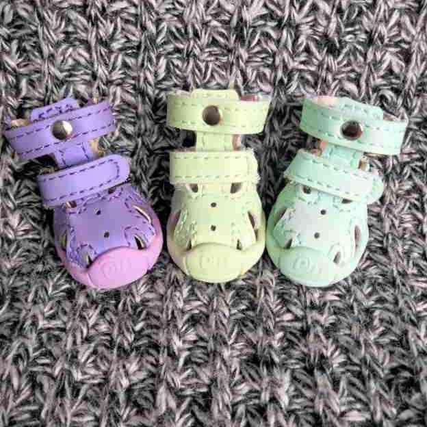 ドッグシューズ 小型犬用 夏 サマー サンダル スポーツサンダル 通気性 メッシュ 滑り止め 耐摩耗性 マイクロファイバーレザー カジュアル マカブルー ミントグリーン ディープパープル