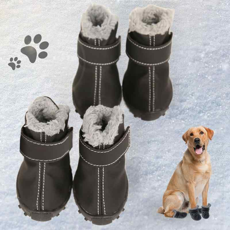 ���ѥ��塼�� ΢�ܥ� �ڥå��� �ɴ��֡��� ������ �淿�� �ȥ��ס��ɥ� �ӥ����ե꡼�� ������� �����ɻ� ���ߤ� ���餫������ æ���ˤ��� �쥤��֡�...
