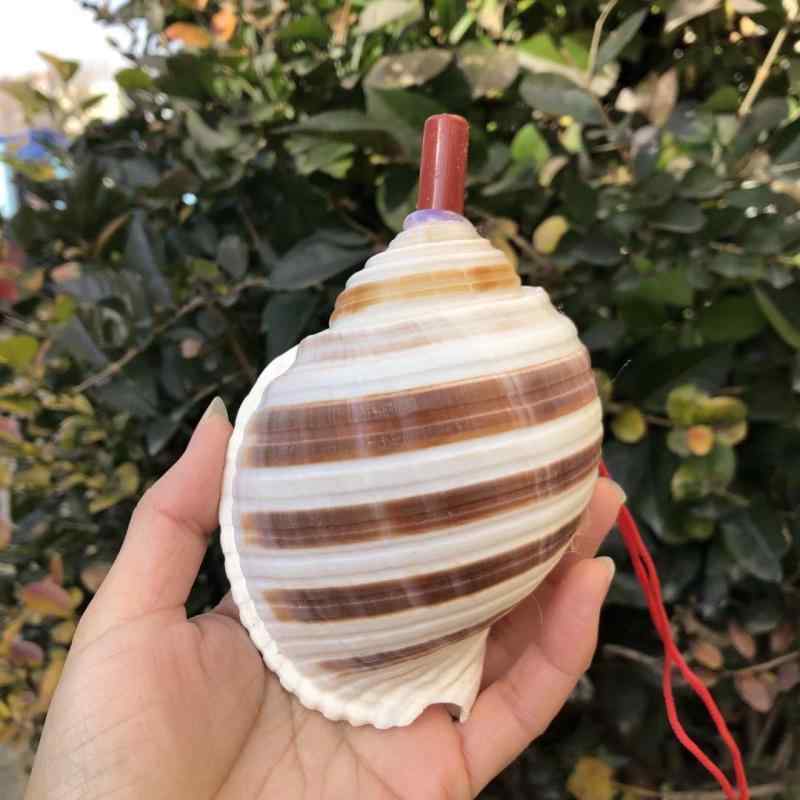 ・バリエーション: ナマコ貝笛 5-6cm, トンフォン貝笛 5-6cm, 緑貝笛 3-4cm, ピンクタワー貝笛 5-6cm, 黒鳳凰貝笛 5-6cm, 白口鳳貝笛 5-6cm, 仙女貝笛 6-8cm, チェス盤貝笛 5-6cm, 小帝王貝笛 5-6cm, パン貝笛 6-8cm, 紅口芋貝笛 5-6cm, 黒琴貝笛 10-12cm, トーチ香貝笛 6-8cm, スターフルーツ貝笛 8-10cm, 黄口鳳貝笛 5-6cm, 白千手貝笛 6-8cm, 白千手貝笛 10-12cm, 紫袖鳳凰貝笛 5-6cm, 角岩鳳凰貝笛 6-8cm, 花長旋貝笛 8-10cm, 琴貝笛 8-10cm, 琴貝笛 10-12cm, 大赤旋貝笛 6-8cm, 大赤旋貝笛 9-10cm, 大赤旋貝笛 12-14cm, 大赤旋貝笛 15-16cm, 花ひょうたん貝笛 8-10cm, 白ひょうたん貝笛 10-12cm, 点琴貝笛 8-10cm, 薄ひょうたん貝笛 10-12cm, 白マンゴー貝笛 12-14cm, オフホワイトマンゴー貝笛 18-20cm, 黒七角貝笛 6-8cm, オレンジ赤七角貝笛 8-10cm, ローズ赤七角貝笛 12-14cm, ピンク七角貝笛 15-16cm, 赤七角貝笛 18-20cm, 蓮根色耳貝笛 12-14cm, スイカ赤風景貝笛 6-8cm, ワイン赤風景貝笛 15-16cm, カーキ金口カエル貝笛 18-20cm, ジンジャー黄金拳貝笛 5-6cm, 明るい黄赤ホーン貝笛 3-5cm, アプリコット色ピーナッツ貝笛 6-8cm, 万宝貝笛 10-13cm, 六角貝笛 13-15cm, 六角貝笛 16-22cm