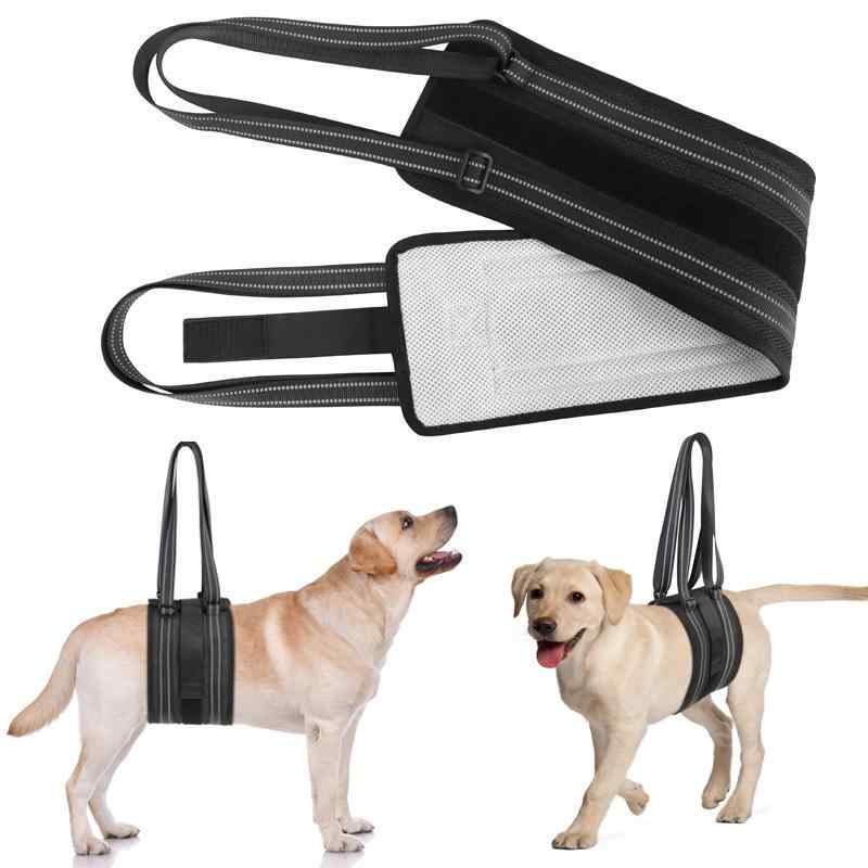 Leash - 犬用ハーネス メッシュ素材 通気性 介護ハーネス 歩行補助 シニア犬 老犬用 リハビリ 術後 怪我 歩行困難 サポート 小型犬 中型犬 大型犬 ブラック S L サイズ