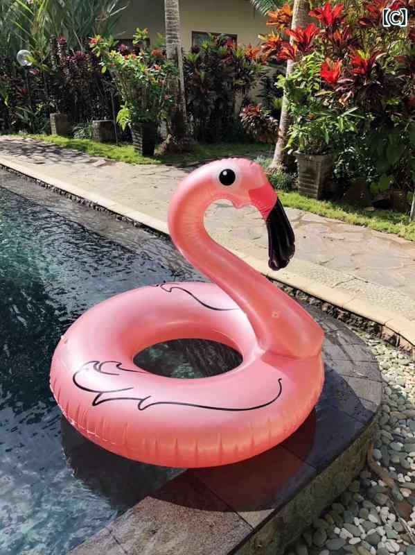 浮き輪 大人用 フラミンゴ グリッター ラメ入り キラキラ 大きい 90cm 120cm スイ...
