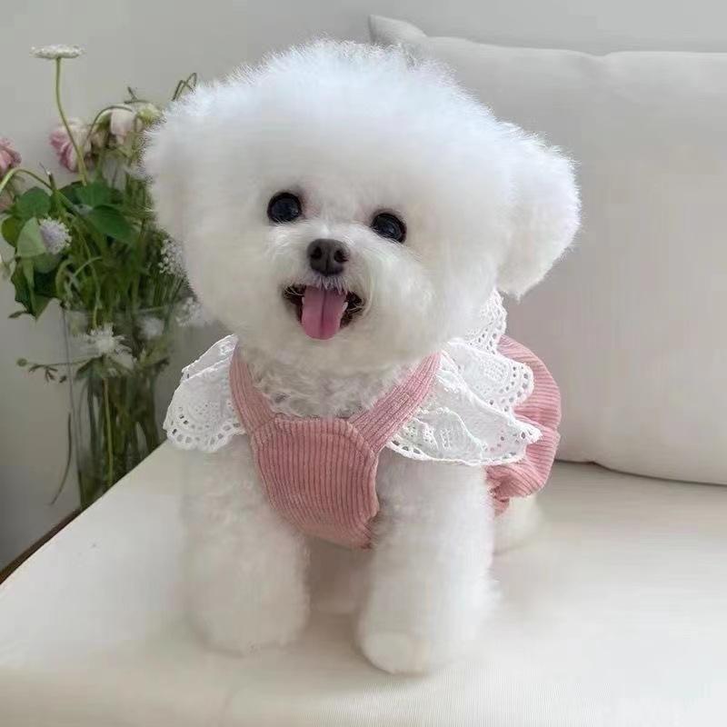 ペット服 猫 犬 秋冬 暖かい コーデュロイ カボチャスカート フリース 防寒 レース ハーネス用Dカン付き かわいい