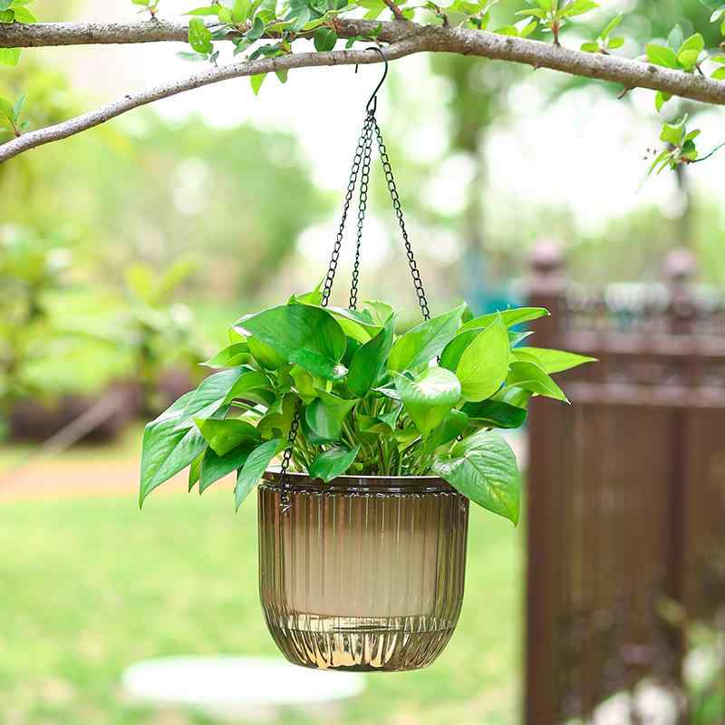 ・カテゴリ: 植木鉢・スタイル: シンプル・特徴: 通気性、透光性、変形しにくい、耐腐食、自吸水、強固耐用、節水耐旱・使用形式: 卓上式、吊り下げ式・底径: 16cm・カラー展開: 透明、祖母緑、星空グレー・サイズ展開: 115#、165#、210#