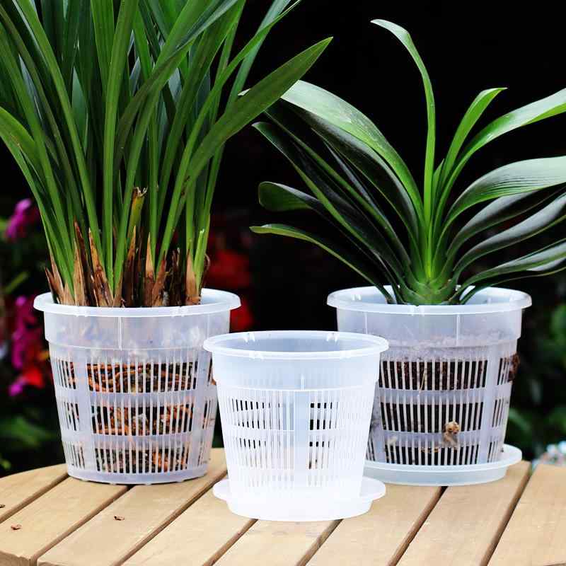 花盆 胡蝶蘭 専用 観葉植物 通気性 根腐れ防止 植木鉢 樹脂製 割れにくい 排水性 家庭園芸 バルコニー