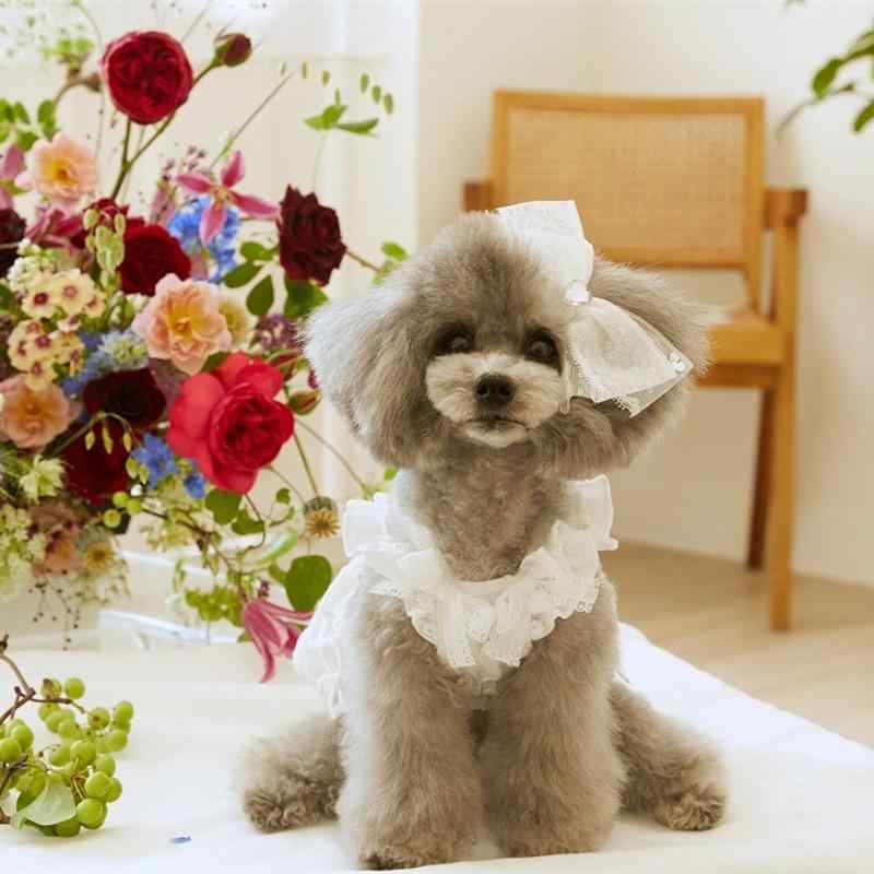 ワンピース ペット用 犬 猫 春夏 おしゃれ フリル レース ノースリーブ ドレス 洋服 軽量 薄手 お出かけ 散歩