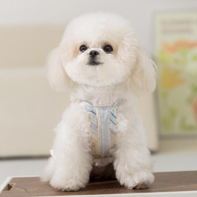 ペット服 犬 キャミソールワンピース 春夏 かわいい リボン カボチャパンツ 小型犬 猫 プリンセス お散歩 お出かけ