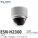 ESN-H2300 ドーム型防犯カメラ 本体SDカード記録+統合ビューワー トリプルストリーム配信 212万画素