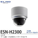 ESN-H2300 ドーム型防犯カメラ 本体SDカード記録＋統合ビューワー トリプルストリーム配信 212万画素