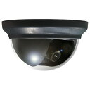 NSS-CPC622 ドーム型カメラ 送料無料(3)