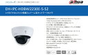 DH-IPC-HDBW2230EN-S-S2 Dahua製品