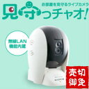 見守っチャオ 大幅値下げ 送料無料 HS3LC2 HS2CR...