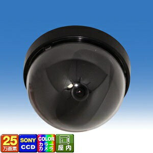 WTW-D25N 【特徴】 1/3 SONY CCDで25万画素 監視カメラの不快感が少ない DC12V 商品名 WTW-D25N 撮像素子 SONY 1/3 CCD搭載 総画素数 25万画素 走査方式 2:1インターレース 同期方式 内部同期 水平解像度 420TV本 映像出力方式 NTSC方式 接続端子 映像：BNCJ端子　／　 電源：Φ2.1DCJ レンズ 3.6mm ボードレンズ 画角 約67度 最低被写体照度 1Lux シャッタースピードAUTO 1/60(1/50)〜1/15.000 sec 赤外線LED 無し 周辺動作温度 -5℃〜+40℃ 外形寸法 85Φ×55(H)mm 重量 約128g