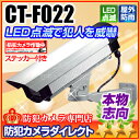 ダミーカメラ ランプ点灯 防犯カメラ ダミー CT-F022 LED点滅 ダミーカメラ