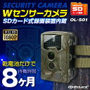 SDカード防犯カメラ 屋外 防塵防水 録画装置内蔵 超強力赤外線LED 監視カメラ Wセンサーカメラ (OL-501) PIR 人感センサー 乾電池式 配線不要 不法投棄 集会所 ゴミ集積場