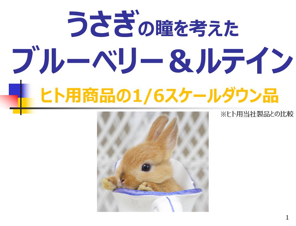 【即日発送】うさぎの瞳にブルーベリー&ルテイン 60粒(約60日分) うさぎ用サプリメント 日本ビーエフ株式会社 ウサギ サプリメント うさぎ専用サプリ アニマストラス 日本ビーエフ サプリ security-shizuoka-10018253 SKS サンプル画像3