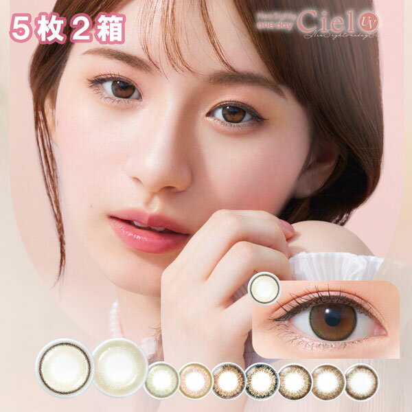 送料無料★[2箱] ネオサイトワンデーシエルUV 1箱5枚入り Neo Sight 1day Ciel 2箱セット 1日使い捨て UVカット 度あり 度なし 度入り どあり どなし カラコン 白宮みずほ カラーコンタクト ネオサイト アイレ DIA14.2mm(4)