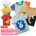 子ども服 tシャツ 半袖 キッズ 恐竜 綿 綿100% パジャマ 夏 プリントtシャツ 綿tシャツ トップス 半袖tシャツ 子供服 女の子 男の子 こども かわいい