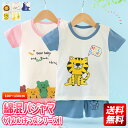 パジャマ キッズ 女の子 パジャマ キッズ 男の子 綿 100% tシャツ キッズ 半袖 韓国 安い パジャマ 綿 夏 ルームウエア トップス ボトムス パンツ...