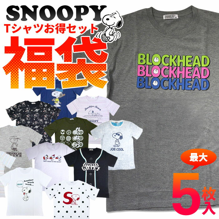 スヌーピー snoopy tシャツ レディース メンズ 半袖tシャツ カットソー 福袋 2022 3枚 4枚 5枚組 可愛いtシャツ セット ピーナッツ かわいいtシャツ peanuts 半袖t キャラt ティーシャツ キャラクター グッズ かわいい おしゃれ 可愛い 送料無料