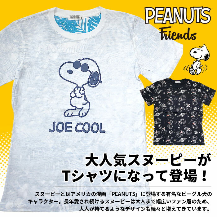 スヌーピー snoopy tシャツ レディース メンズ 半袖tシャツ カットソー 福袋 2022 3枚 4枚 5枚組 可愛いtシャツ セット ピーナッツ かわいいtシャツ peanuts 半袖t キャラt ティーシャツ キャラクター グッズ かわいい おしゃれ 可愛い 送料無料