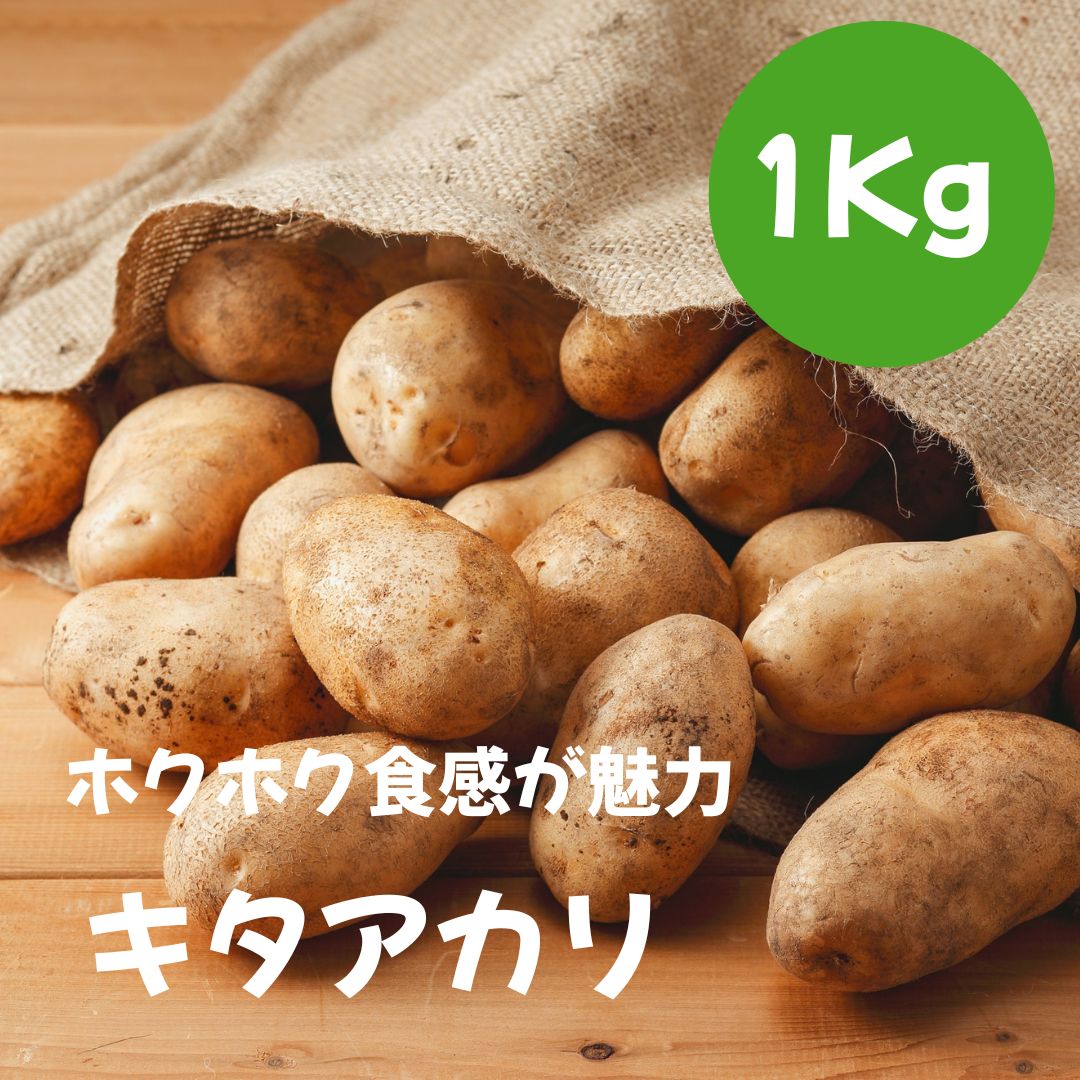 楽天市場】じゃがいも 種芋 10kgの通販