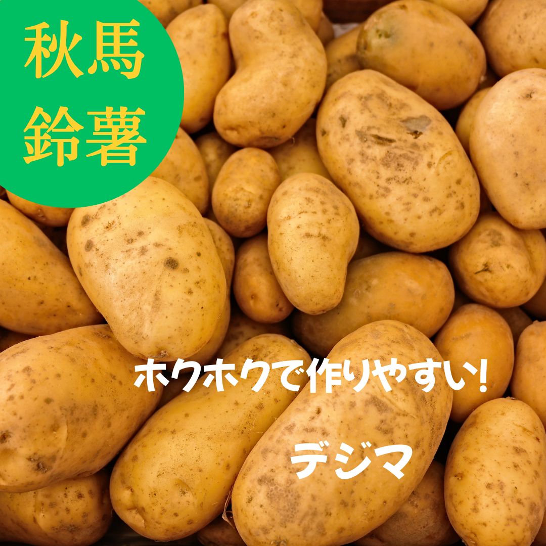 楽天市場】じゃがいも デストロイヤー 種芋の通販