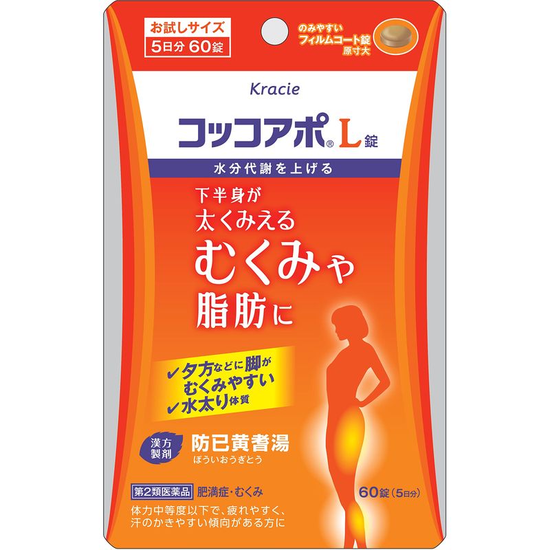 第2類医薬品 コッコアポL錠 60錠